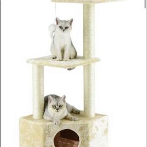 Large cat tree condo